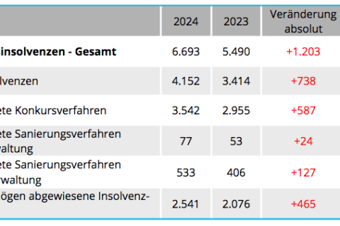 Creditreform FIRMENINSOLVENZSTATISTIK 2024